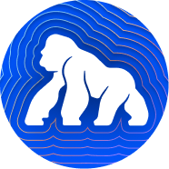 ApeCoin